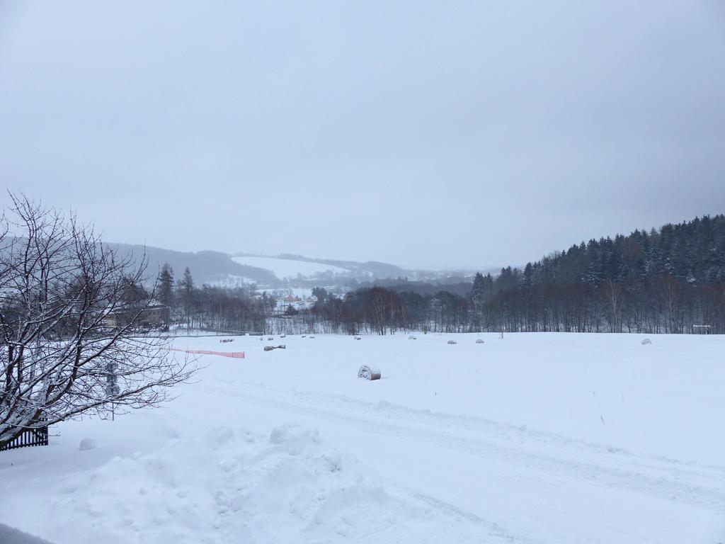 Appartamento Haus Tolstejn Jiřetín pod Jedlovou Esterno foto